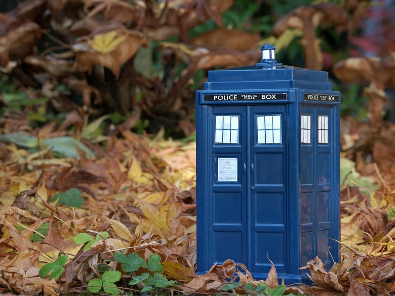 The Doctor
